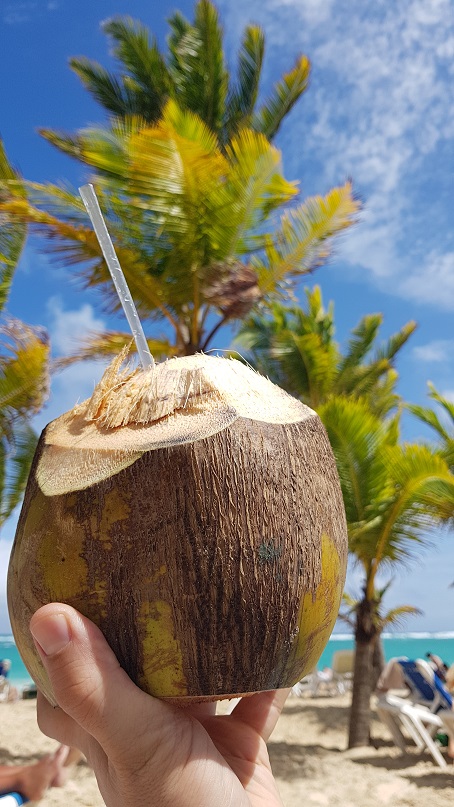 Kokos, degustacja, Dominikana