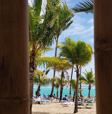 Dominikana, plaża z palmami