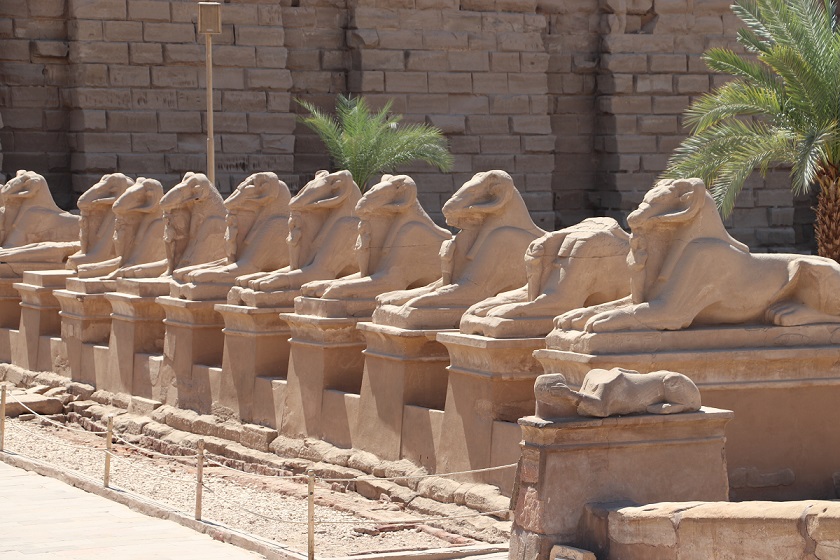 Egipt - aleja sfinksów łączaca Karnak z Luksorem licząca 3km