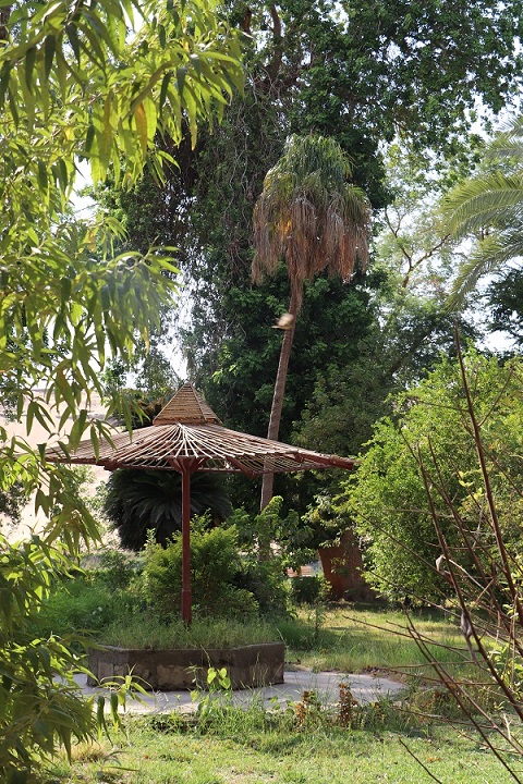Egipt - ogród botaniczny Kitchnera