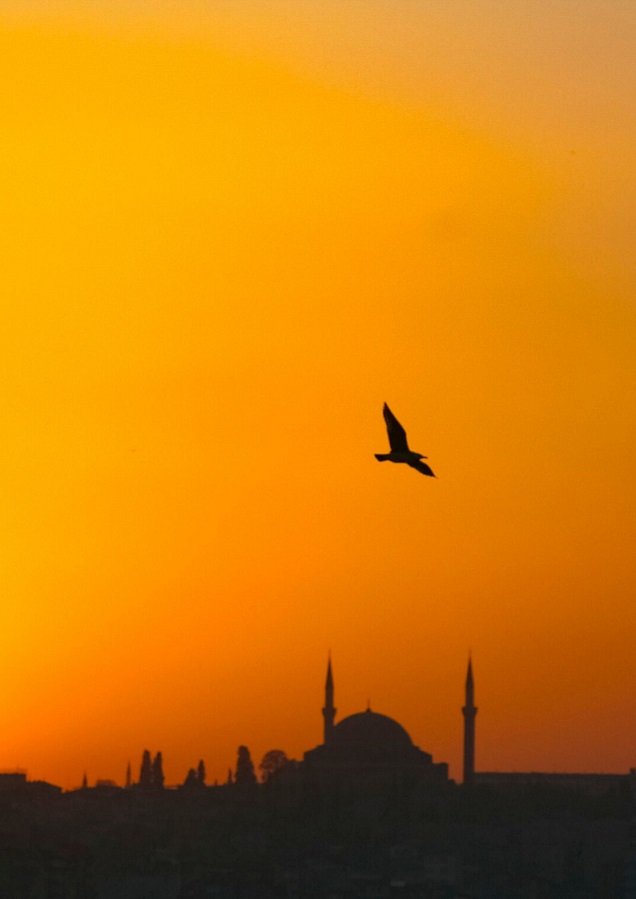 Turcja, Istambuł
