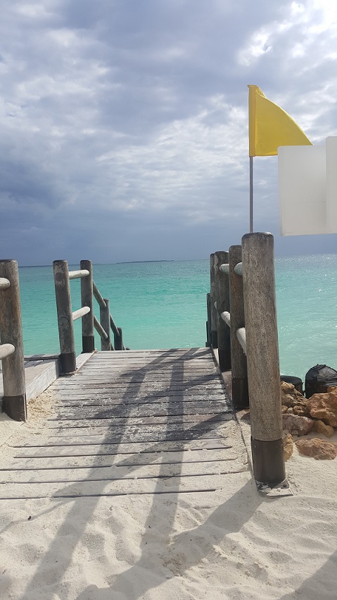 Zanzibar, ocean, podest