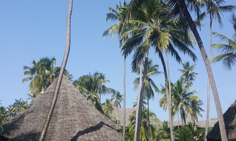 Zanzibar - co warto wiedzieć przed wyjazdem